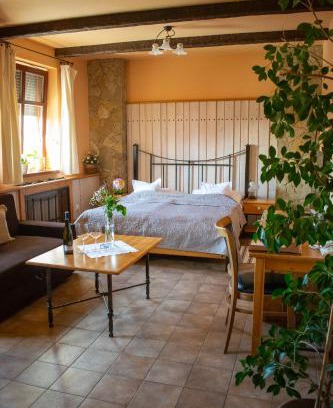 Uherske Hradiste Hotel | Hotel Koníček