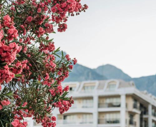 Banikhet Hotel | Hotel Nobo Nest