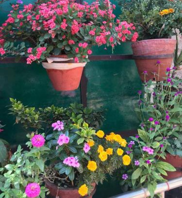 Katihar Hotel | Hotel Rishu Inn