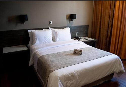 Tacna Hotel | HOTEL ZELA INN Tacna Perú