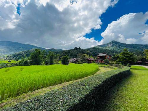 Chom Thong House | House ∙ 1 bedroom ∙ 4 guests