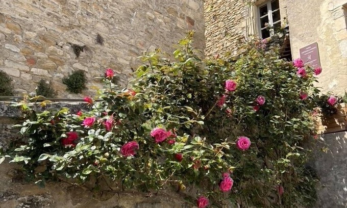 Grignan House | House-Ensuite-Landmark view