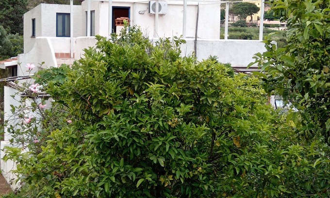 Leni House | House in the hills with vineyard in Salina