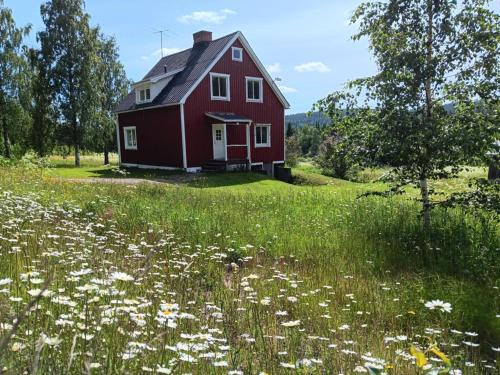 Overkalix House | House in the middle of forests and lakes