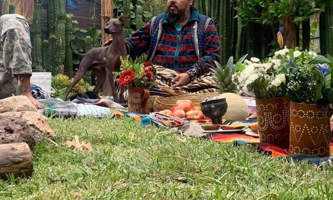 Tijuana Cabin | HOUSE OF ANCESTRAL MEDICINES AND MASTER PLANTS