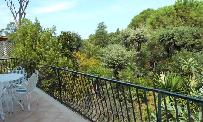 Ischia Porto Apartment | House on the island of Ischia, in pine forest with private descent to the sea.