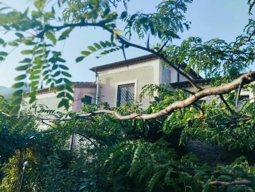 Morano Calabro Bed & Breakfast | I Santicelli