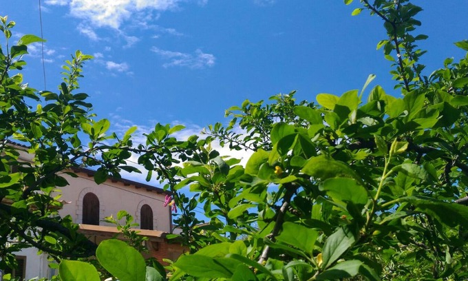 Alcamo Villa | Il Gelsomino Home Holiday, Alcamo (TP), Sicily. Relax and lots of sea