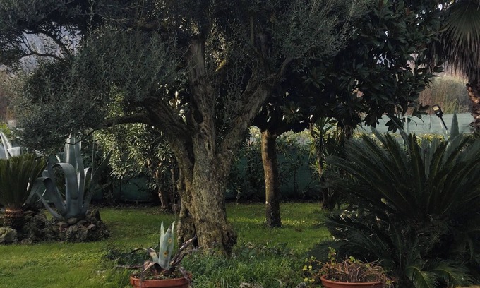 Pietramelara Bed & Breakfast | Il giardino di Eolo