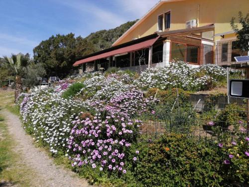 Sant'Antioco House | Il Lentischio - Rosmarino