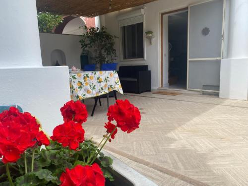 Tiberio Apartment | Il piccolo Sogno