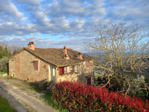 Vicopisano House | Il Rustico Vicopisano