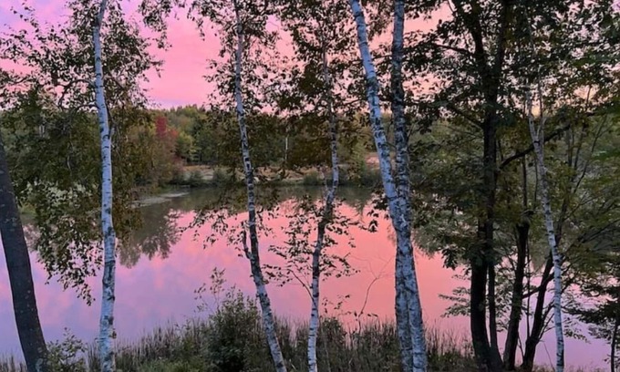 Holcombe Cabin | In the heart of nature! Romantic getaway!