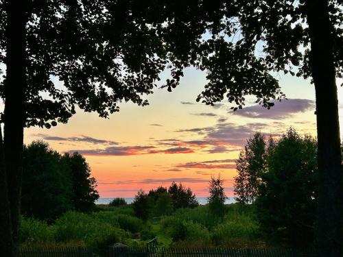 Haademeeste Bed & Breakfast | Inn Serendipity Eesti