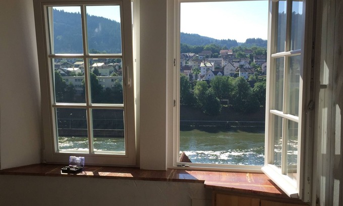 Hirschhorn Apartment | It is the former supply house of Hirschhorn Castle.