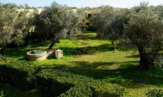 Sant'Andrea Apostolo dello Ionio Apartment | Apartment 'Tra Ulivi E Mare' with Shared Garden, Wi-Fi and Air Conditioning