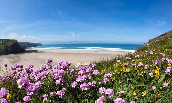 Redruth Cottage | Ivy Chimney Cottage - Rural detached cottage 2 miles from Porthtowan, dog friendly and ample parking