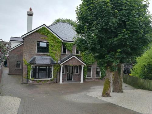 Claddagh House | Ivy House