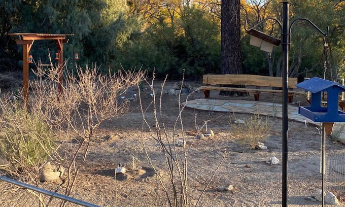 Morongo Valley House | ~(‾▿‾)~ Jack's Place ~ Birding Bliss & Cozy Beds Await!