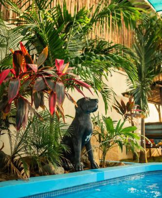Las Penitas Bed & Breakfast | JAKES ON THE BEACH