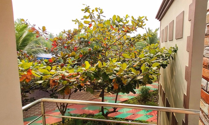 Konark Hotel | Janardan Coco Palms Resort