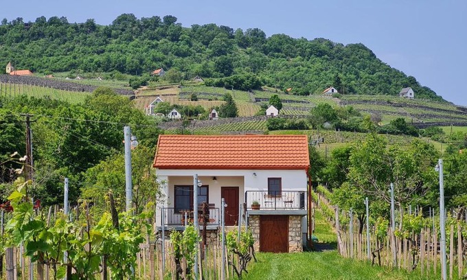 Somlovasarhely House | Jera Pince és Vendégház