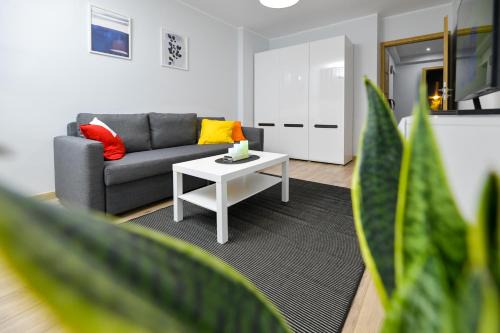 Zator Apartment | JJ Apartment Zator Energylandia