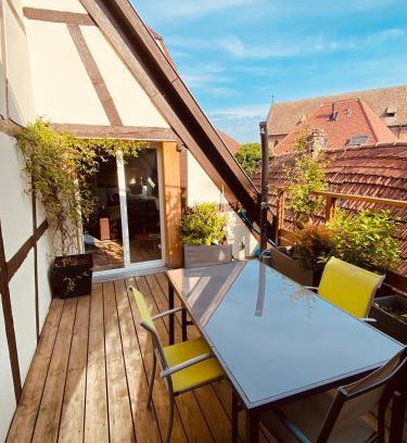 Haguenau Apartment | Joli 2 pièces, avec climatisation et grande terrasse, vue sur les toits, zone piétonne