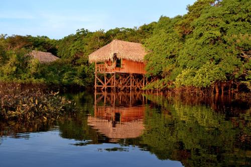 Careiro da Varzea Hotel | Juma Amazon Lodge