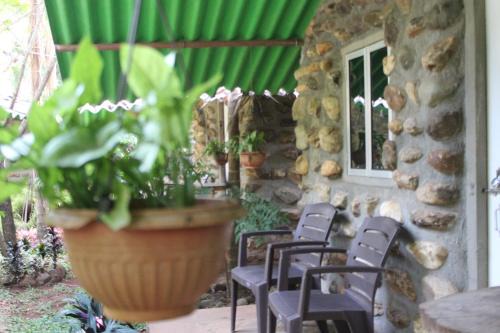 Colem Hotel | Jungle Book Resort