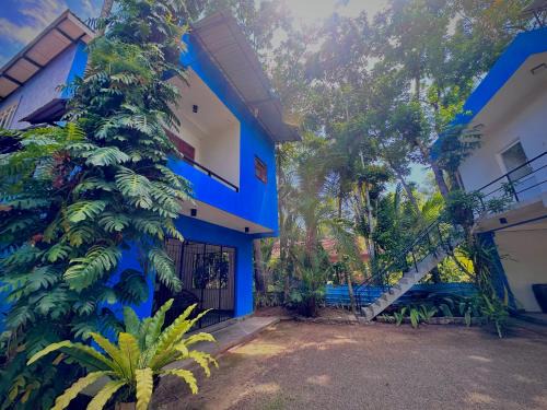 Induruwa Bed & Breakfast | Jungle Fence