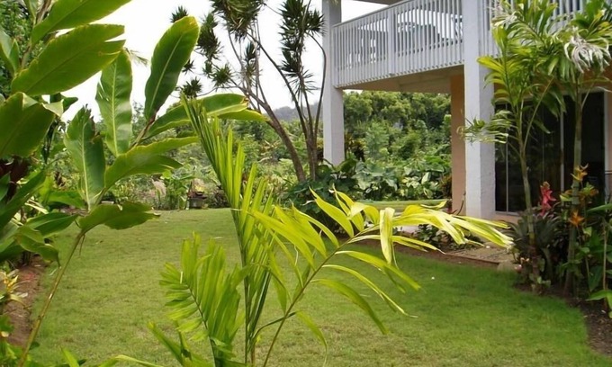 Hanalei Palms House | Just steps to Hanalei Bay. A Peaceful Getaway TVR4188 W31871267