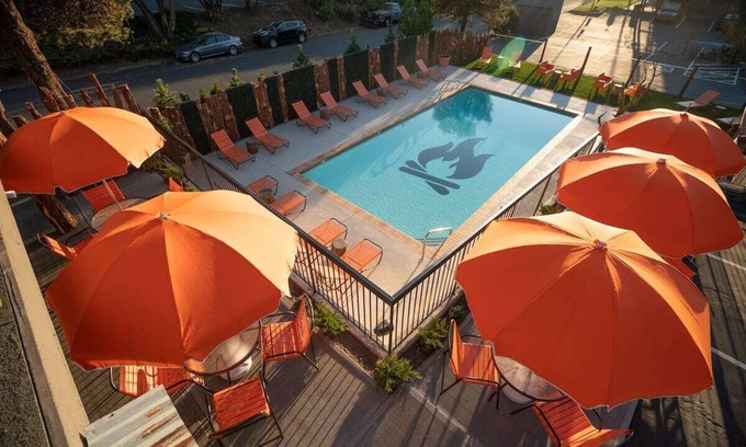 Orchard District Hotel | Just What You Were Looking For! With Pool, Free Parking, Dogs Allowed!
