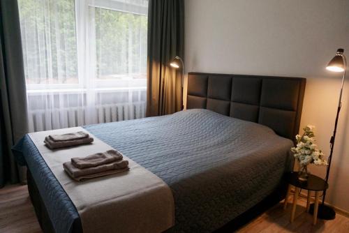 Torva Apartment | Külaliskorter Tõrva linnas