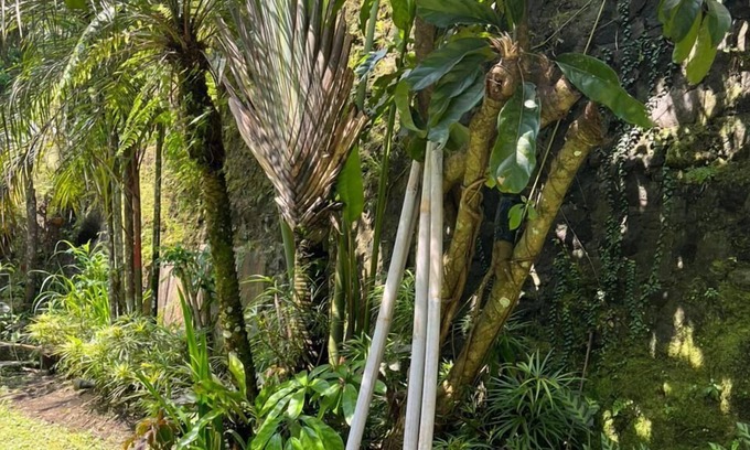 Pakem Hotel | K Hotel Kaliurang