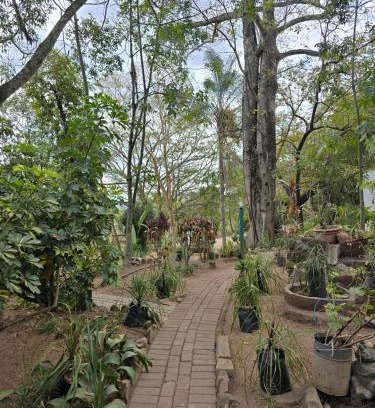 Hazyview House | Kanaan Guest Farm