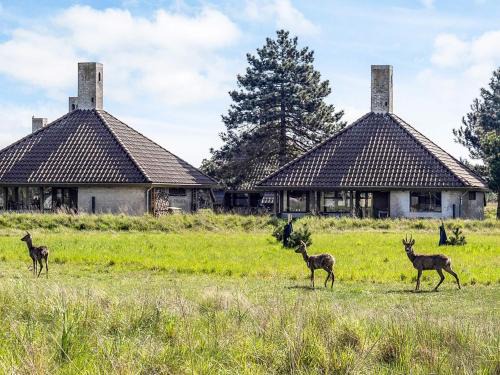 Karrebksminde House | Karrebæksminde Fjord Houses
