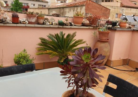 Olba Apartment | KASA EL PERTEGAZ