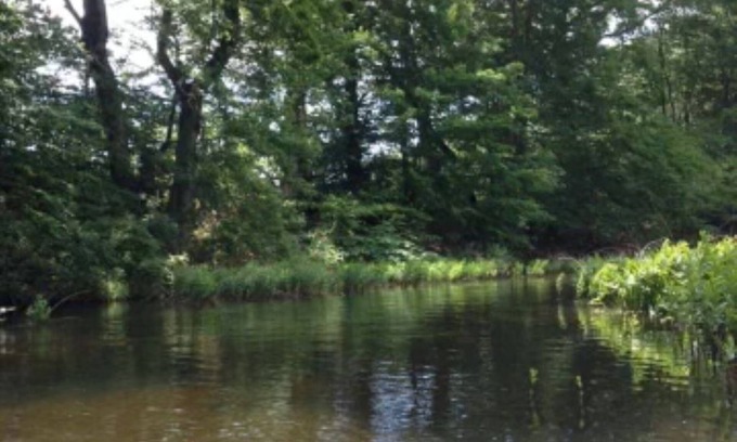 Marcellus RV Rental | Kayak and Campers Paradise
