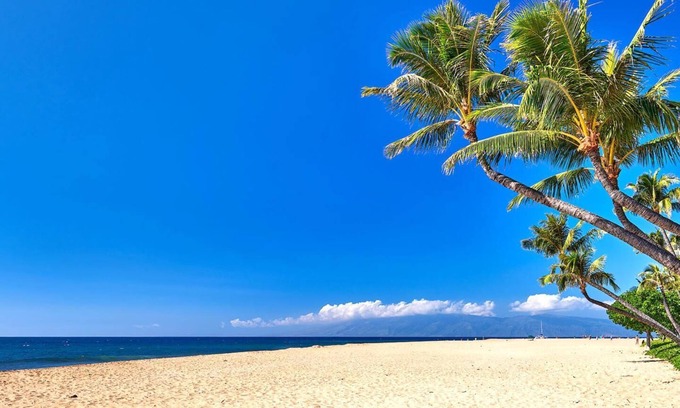 Honokowai Condo | KBM Resorts | Spacious 3-Bedroom Honua Kai Collection | Multi Unit Listing | Same Floor | Ocean Views + 2 Free Rental Cars! HKK-922/26