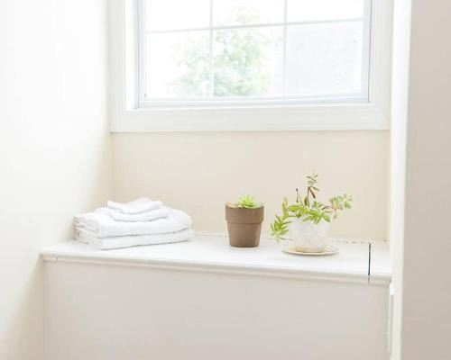 Kinston Apartment | Kinston Hideaway
