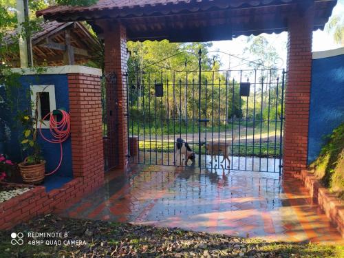 Juquitiba Cabin | Kitnet em meio à mata Atlântica