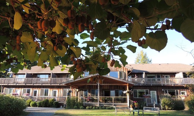 North Oyster Cabin | Kiwi Cove Lodge