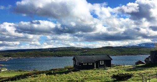 Al House | Kjøniksbu - 3 bedroom cabin