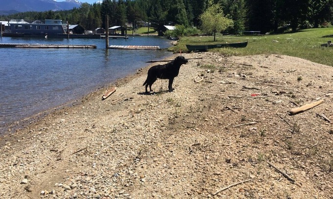 Proctor Cabin | Kootenay Lake Cottage on the Beach-Pet Friendly-Sleeps 4