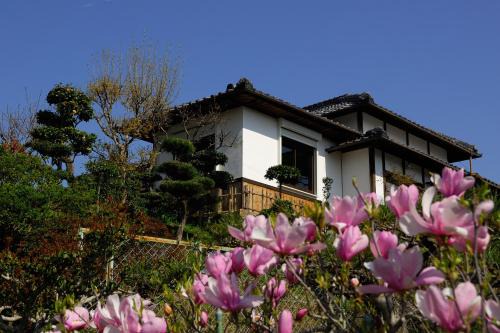 Asuka House | Kotorian