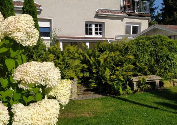 Bad Liebenwerda Apartment | Kreativ Ferienwohnung Domizil der Sinne