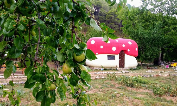 Skradin Apartment | Krka fairytale village