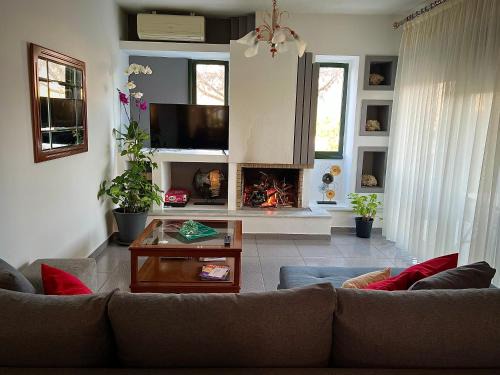Ano Lechonia Apartment | Ktima Nostos