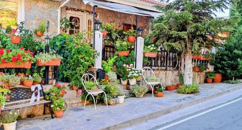 Kyperounta Apartment | Kyperounta Troodos mountain house